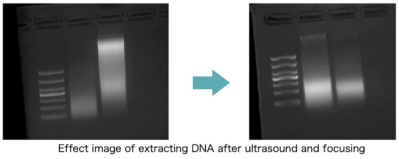 non-contact ultrasonic processors